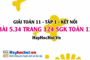 Giải bài 5.34 trang 124 Toán 11 tập 1 SGK Kết nối tri thức